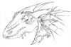 Big_angry_dragonhead.jpg