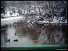 Snow2006_13.jpg